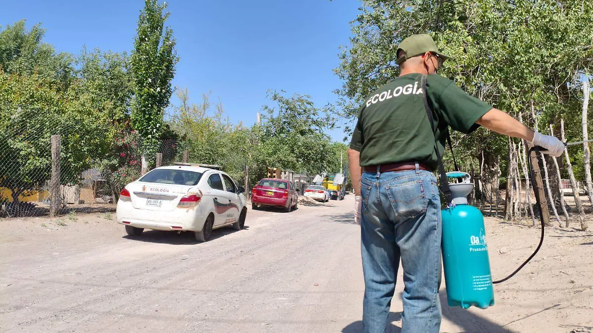 13 jun Ecologia Fumigaciones
