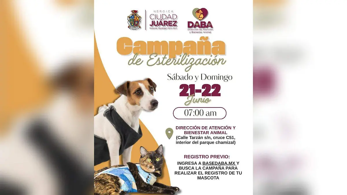 Campaña de esterilización