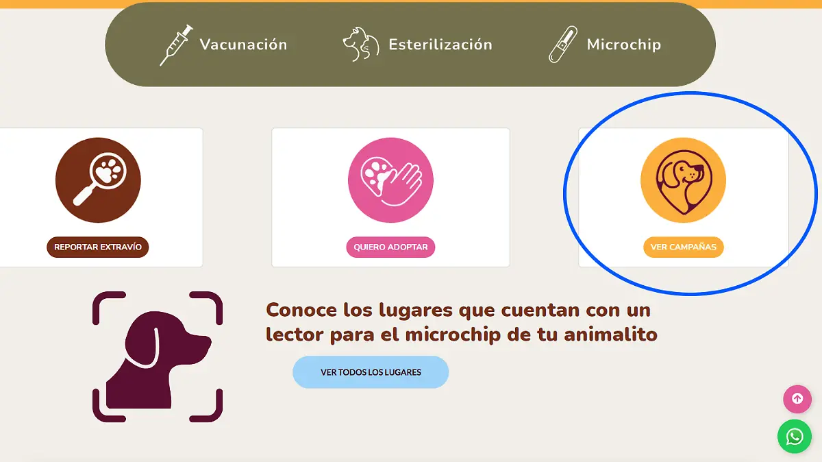 Campaña de esterilización