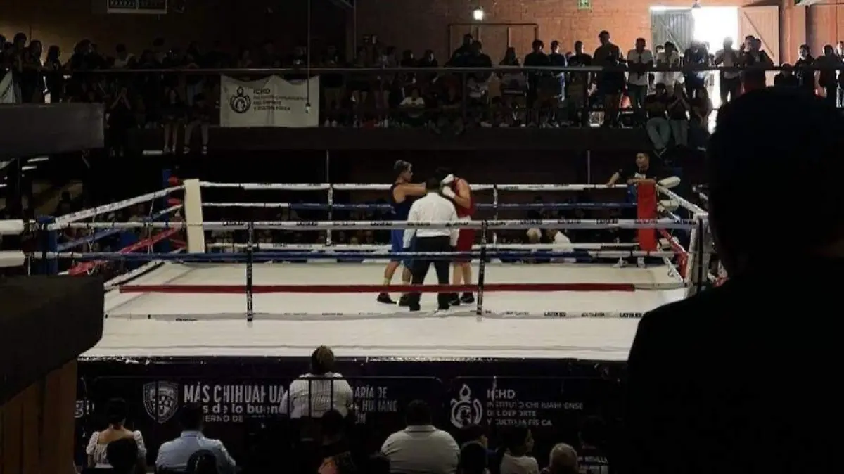 box colonias