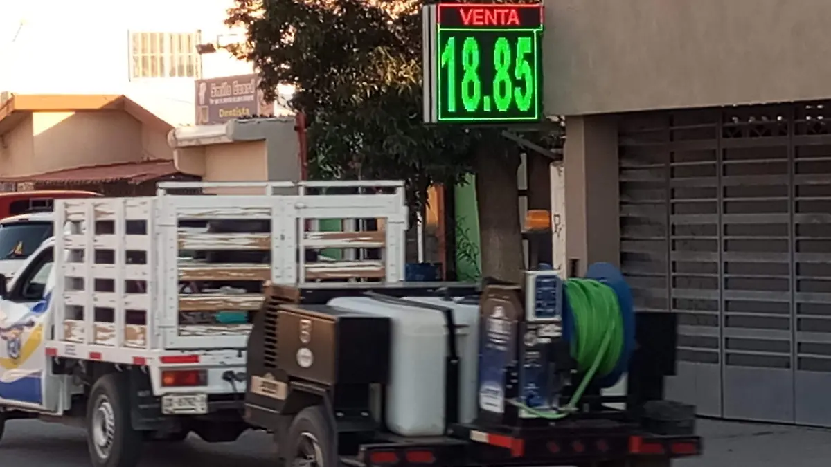 1000253660