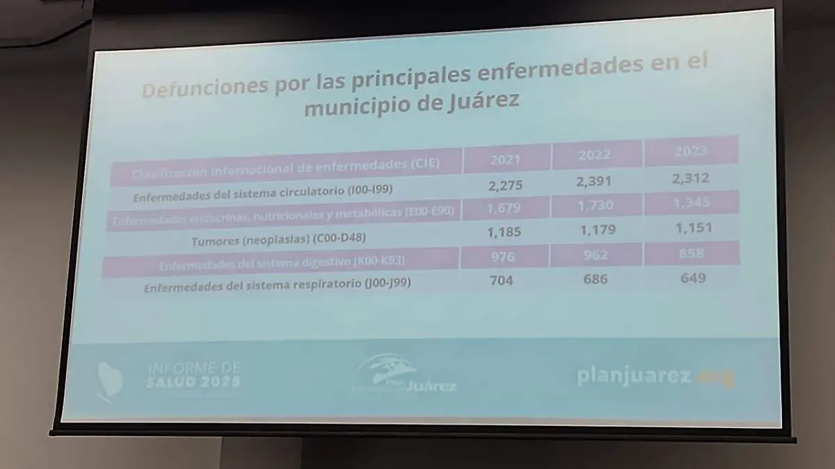 Informe enfermedades PEJ-2