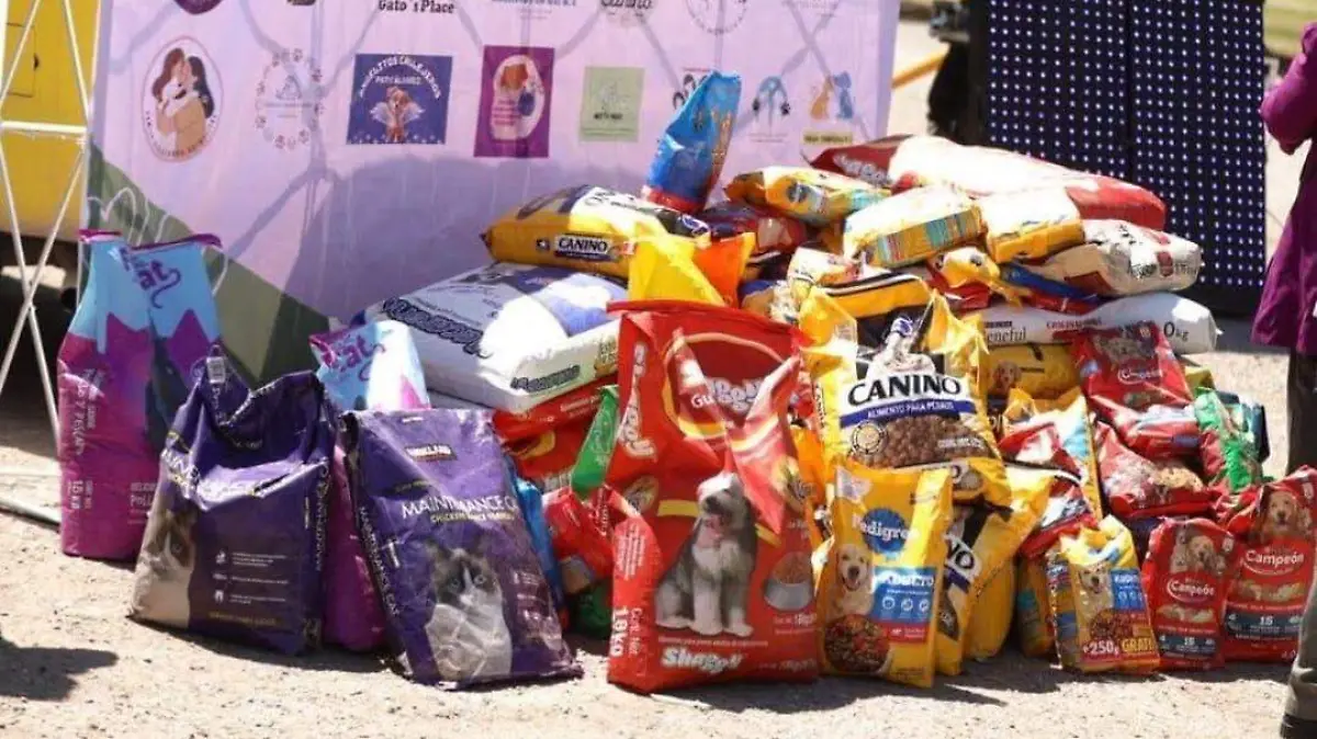 DABA recolecta 20 toneladas de alimento para perros y gatos en situación vulnerable