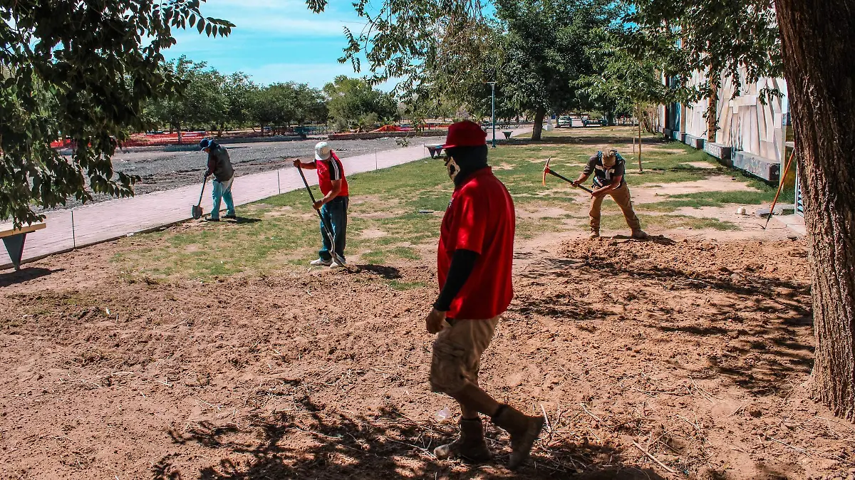Empleo temporal en Parque Central