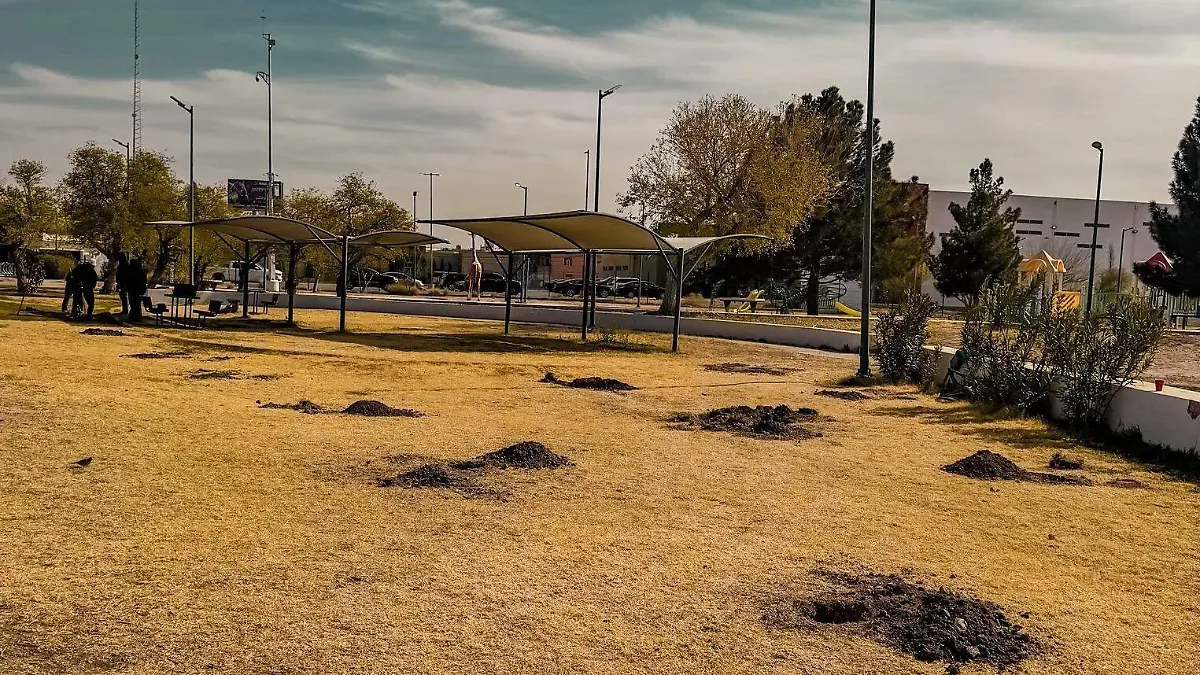 Empleo temporal en Parque Central
