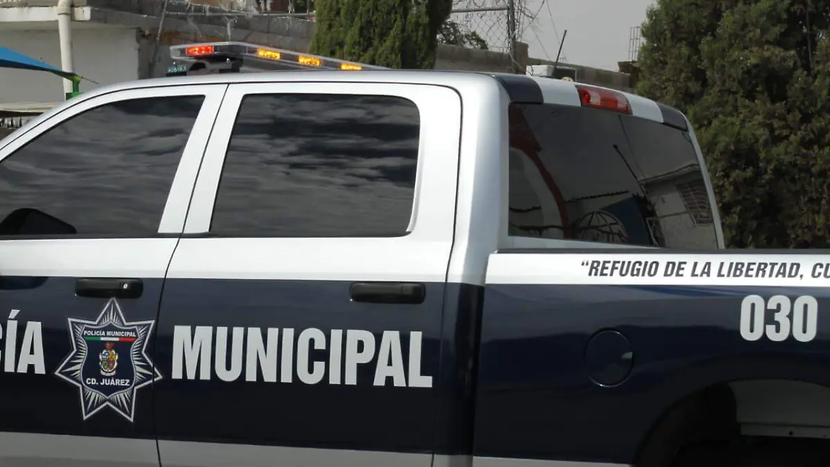 WhatsApp Image 2025-09-04 at 1.27.55 PM