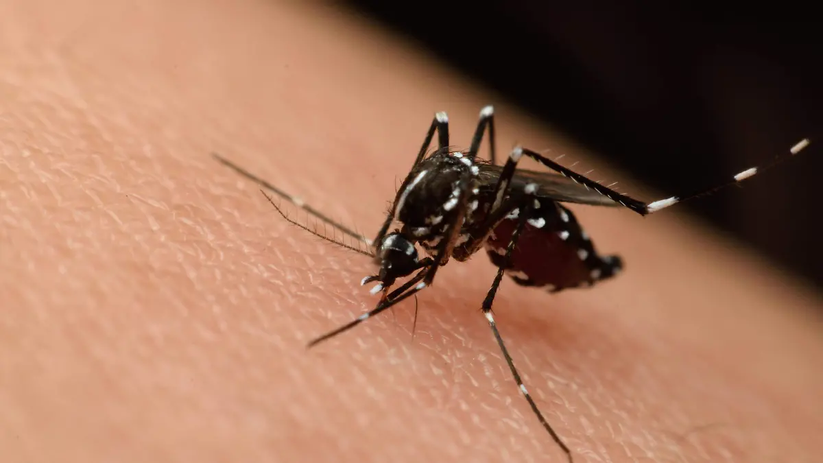 Zika,WestNile_share