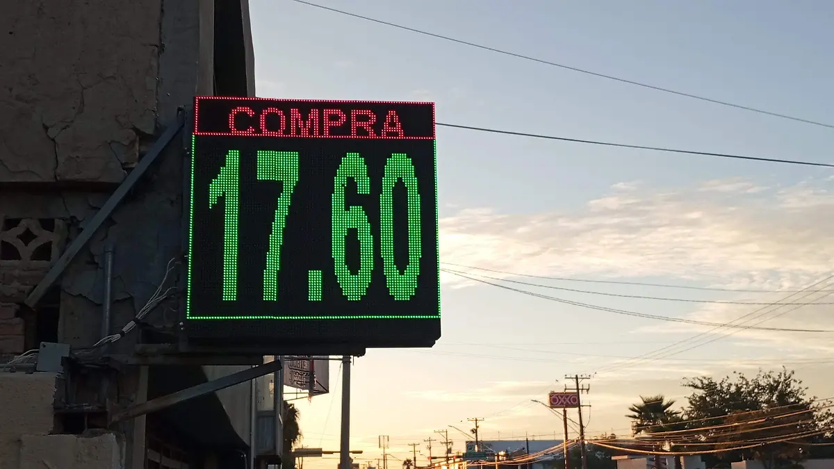 1000366044