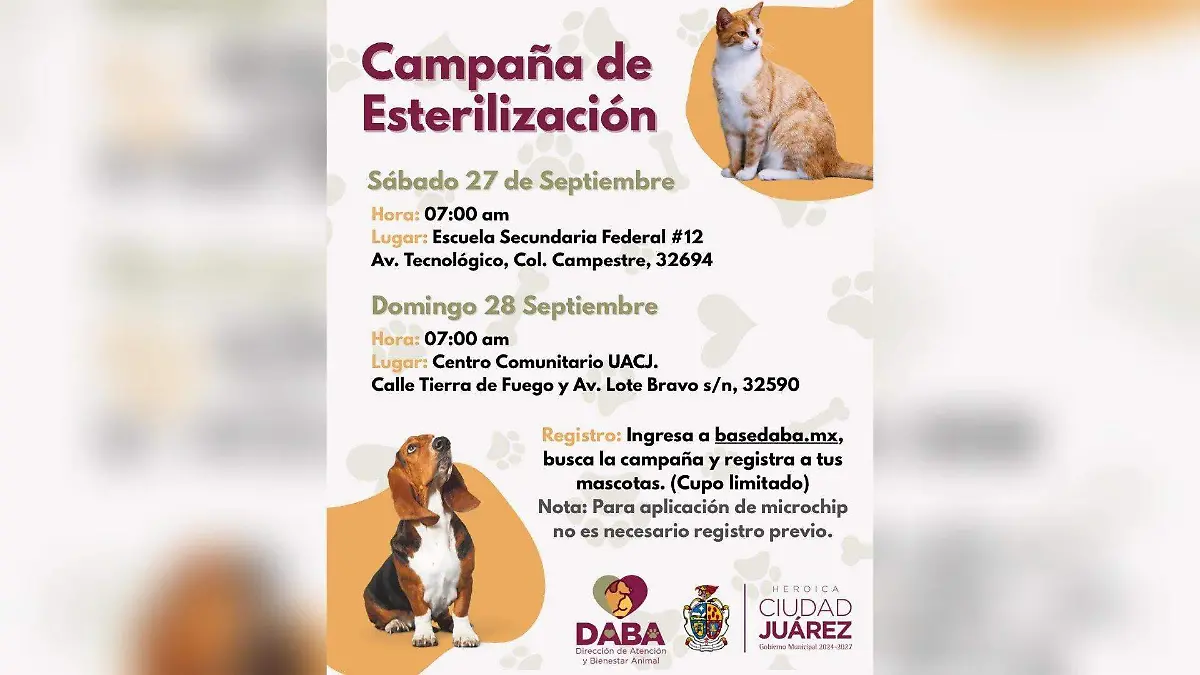 Campaña de esterilización