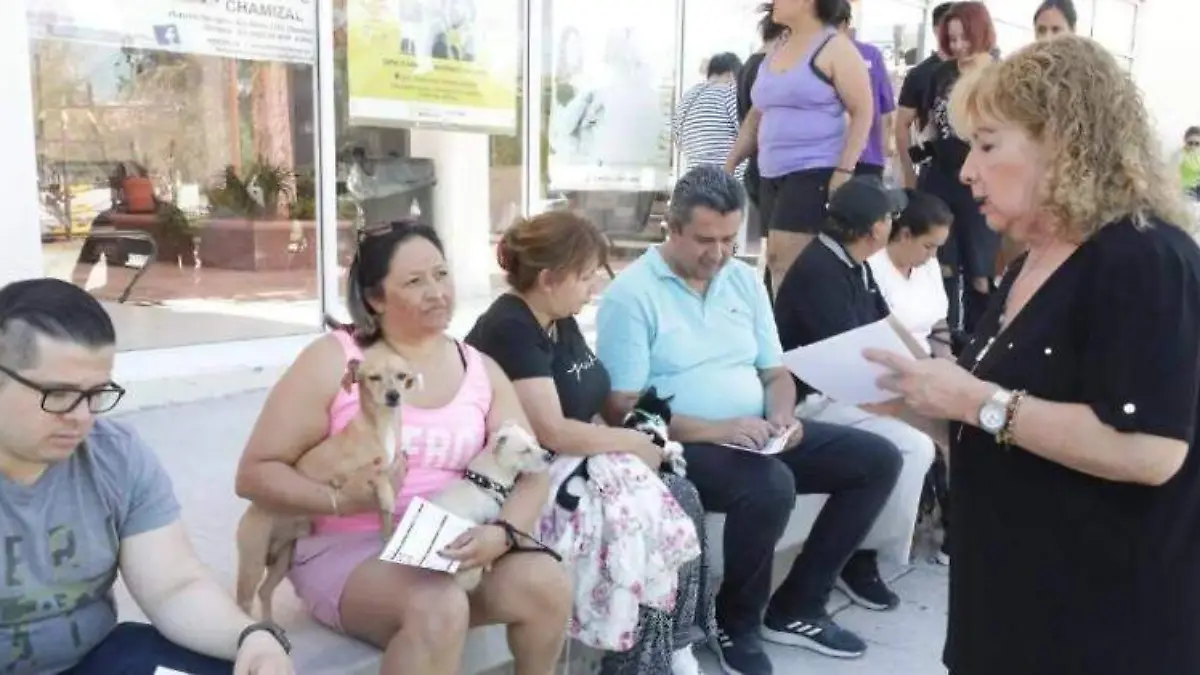 Campaña de esterilización