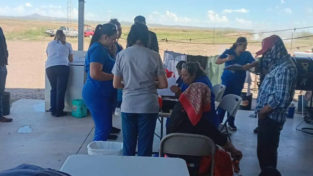 vacunas y alimentos
