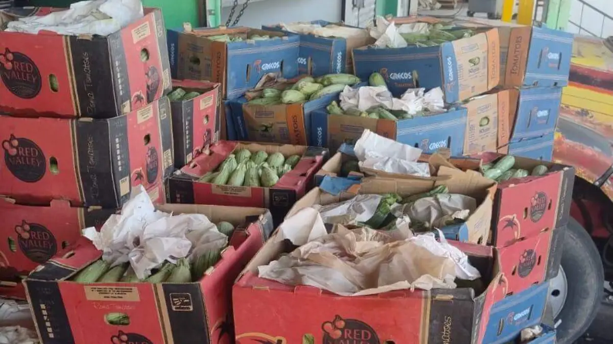 Piden productores de calabacita de Samalayuca apoyo a los tres niveles de gobierno