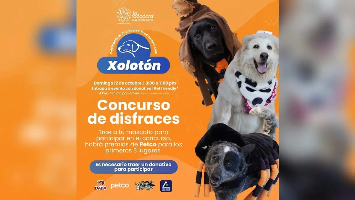 Xolotón 2025