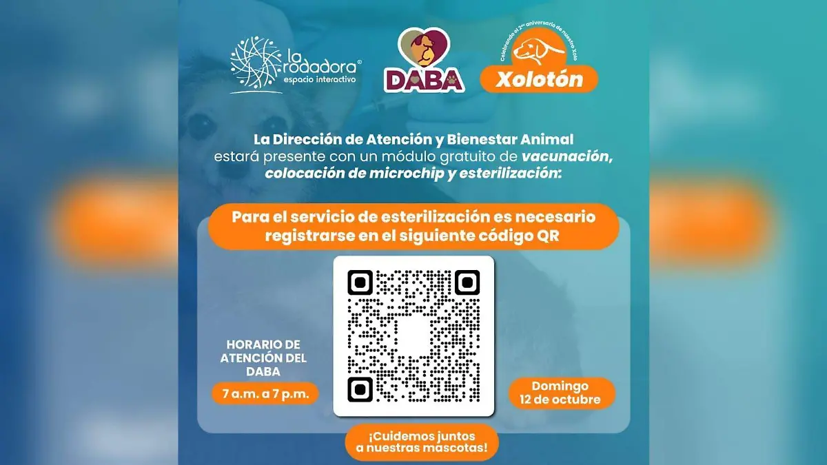 Esterilización y vacunas en La Rodadora
