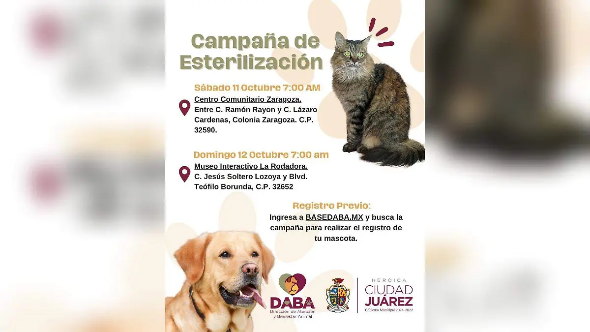 Esterilizaciones y vacunas en La Rodadora