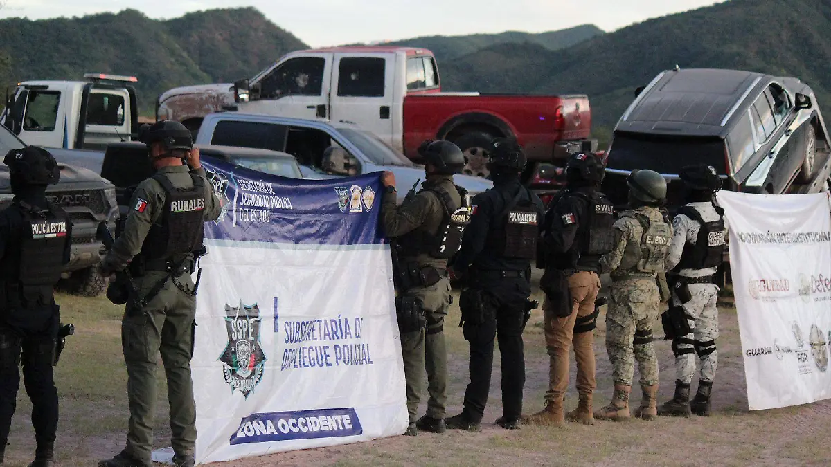 vehiculos asegurados