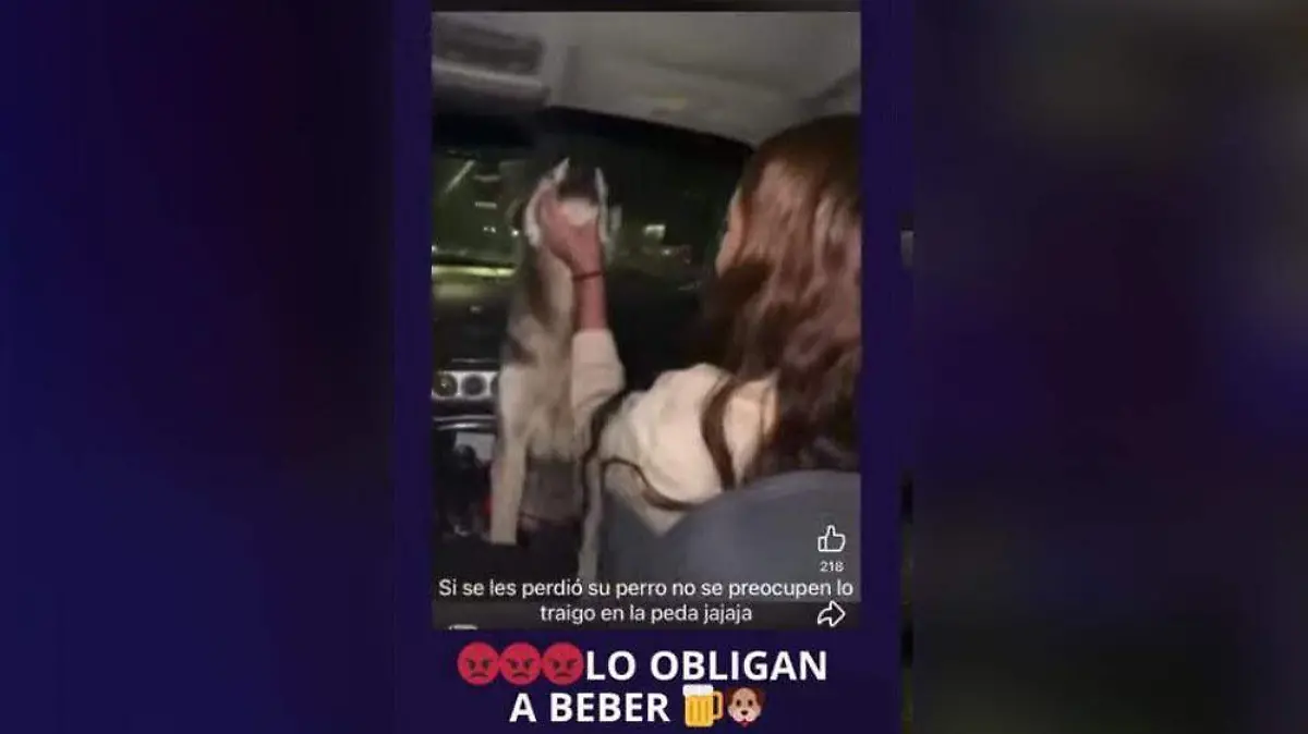 Perro alcohol
