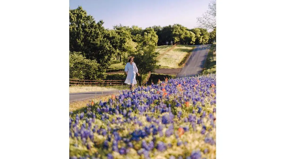 Senderos de flores en Texas