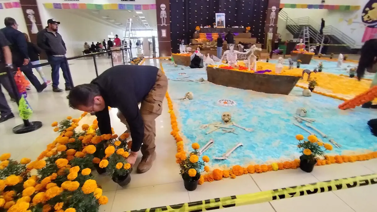 d80d5e33-0a21-4c4a-a997-49c746276976-1_all_135748