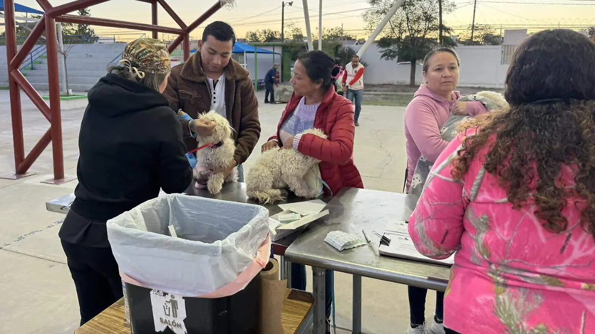 Campaña de esterilización
