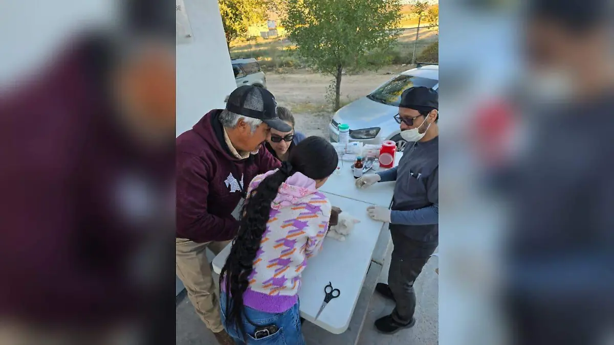 Campaña de esterilización