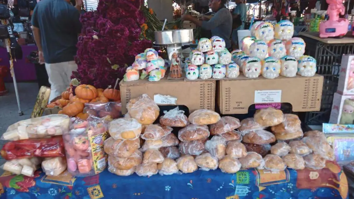 WhatsApp Image 2025-10-31 at 4.27.31 PM