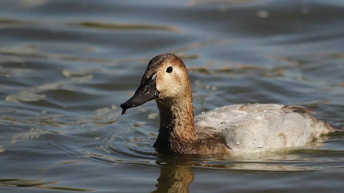 90d9d7fd-0b70-4441-a7c5-34195fa7b8f4