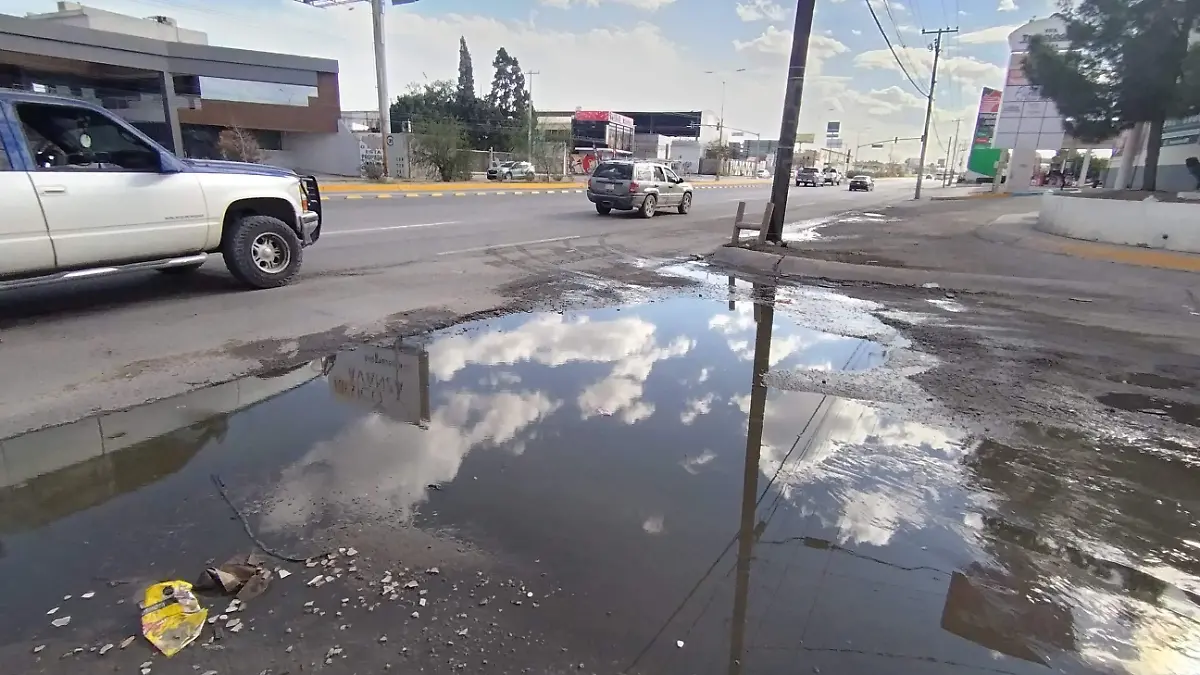 b3e37b19-2c4a-481d-957f-d8dc9fc4007f