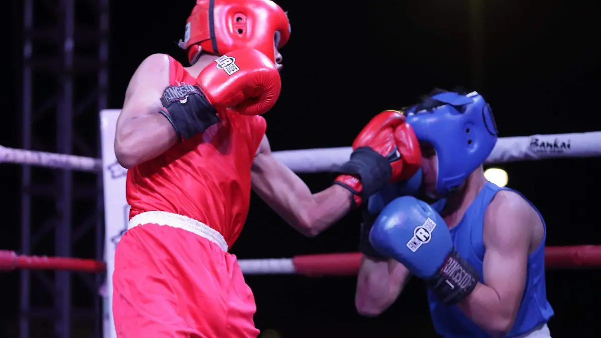 691a5d65b47ca__691a5d65b47cb