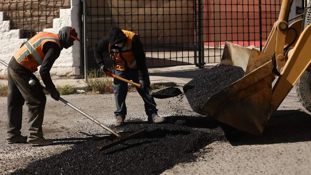 WhatsApp Image 2025-11-25 at 3.17.37 PM