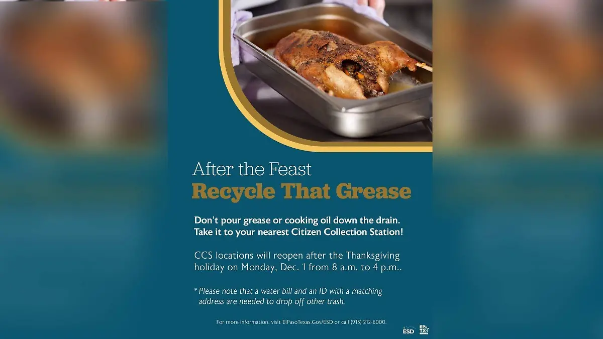 WhatsApp Image 2025-11-27 at 3.45.52 PM-2