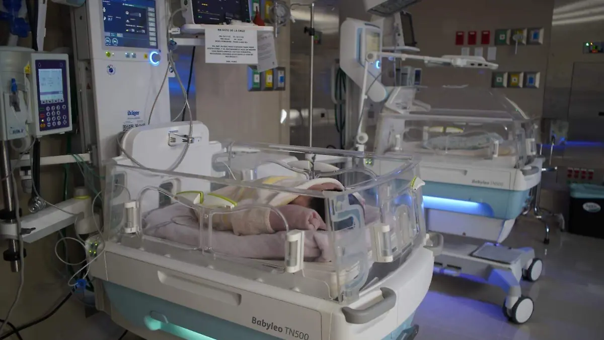 d9b2530b-bbb0-4e2c-b742-d7f3301bfcd1