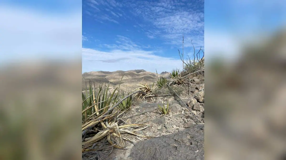 WhatsApp Image 2025-12-11 at 2.15.20 PM