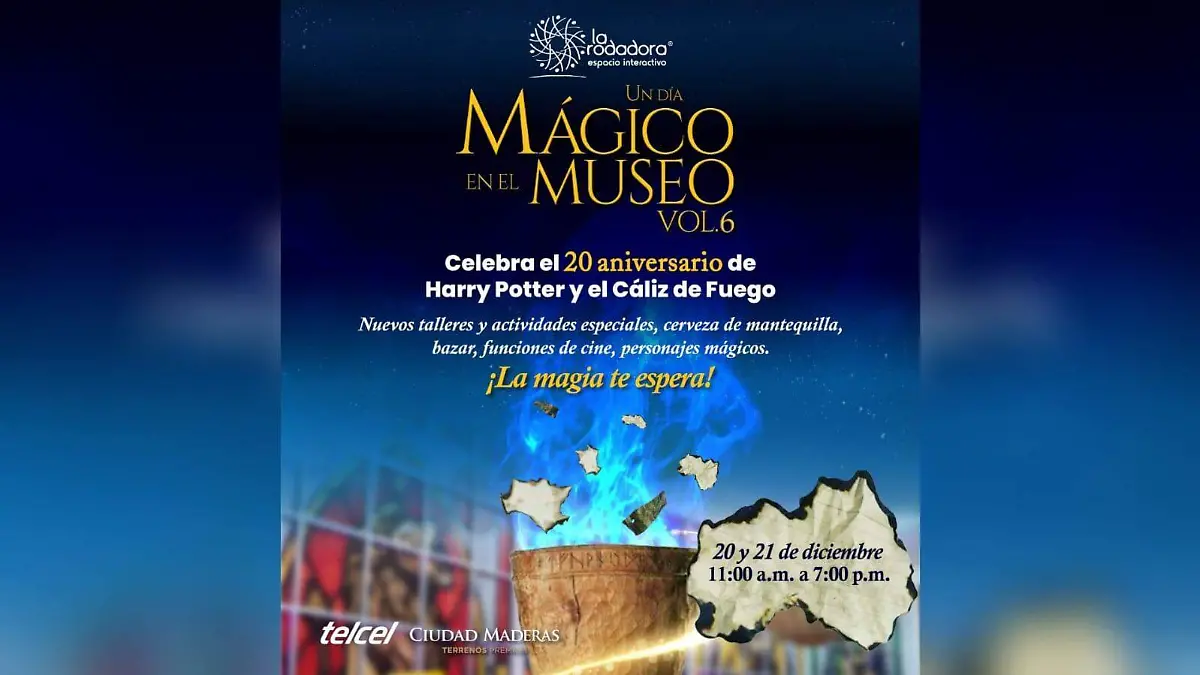 WhatsApp Image 2025-12-12 at 3.03.24 PM