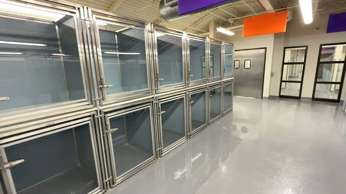 WhatsApp Image 2025-12-21 at 2.36.03 PM