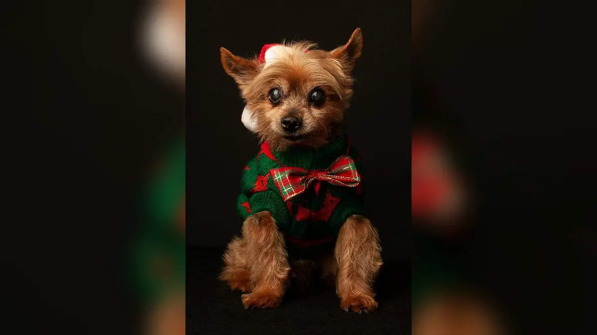 WhatsApp Image 2025-12-24 at 1.41.51 PM