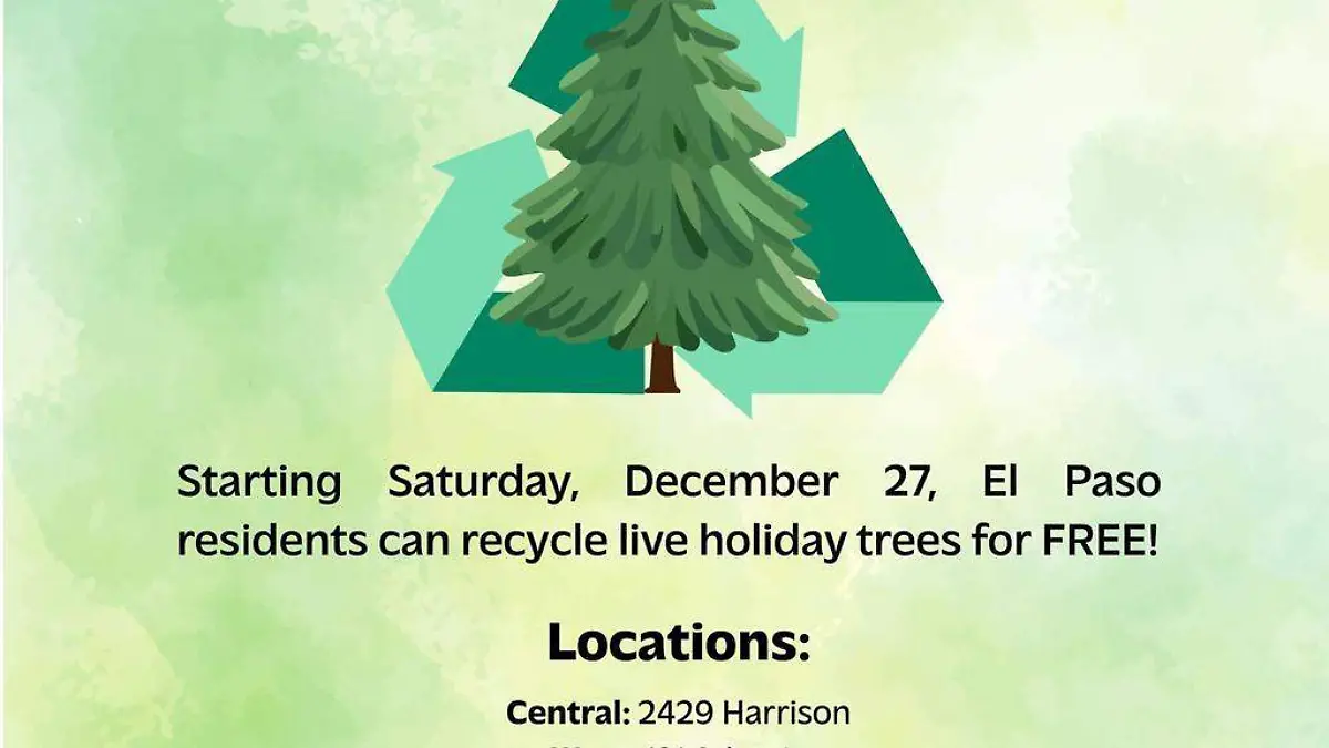 WhatsApp Image 2025-12-25 at 3.11.48 PM