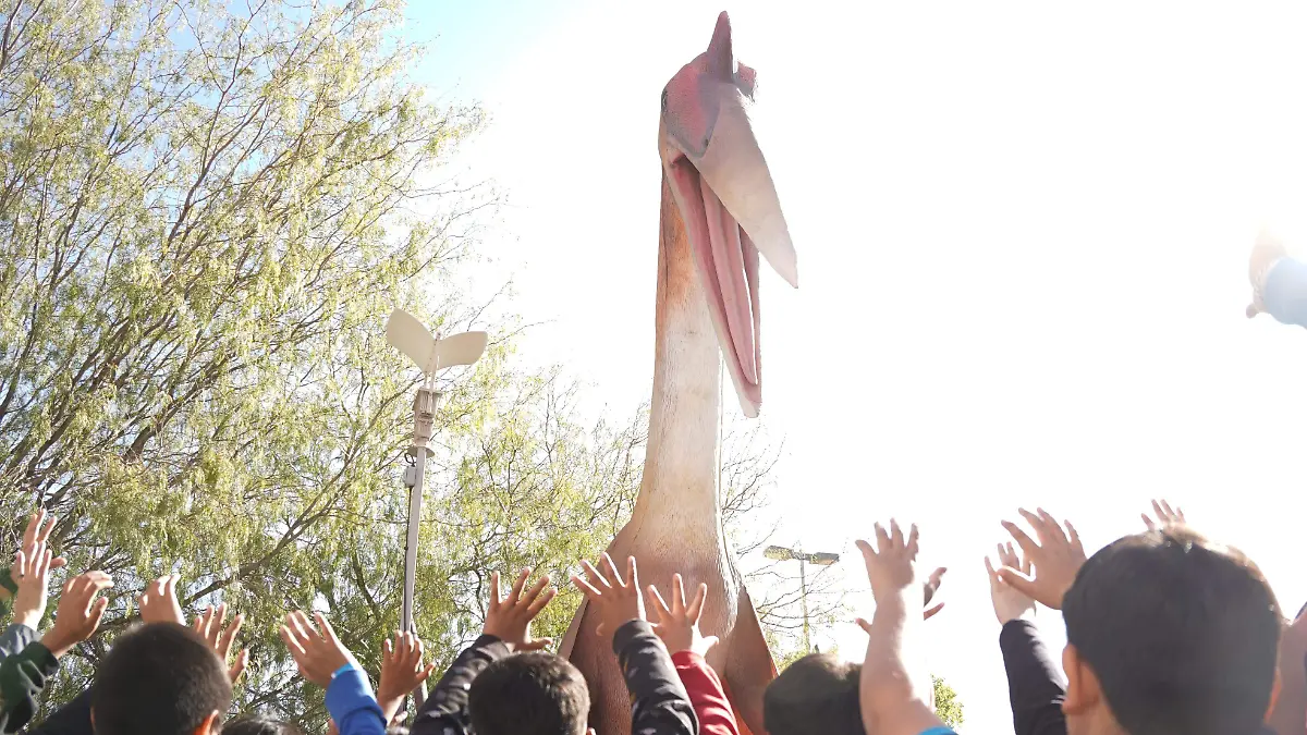 FECHAC- Rodadora equipamiento (4)