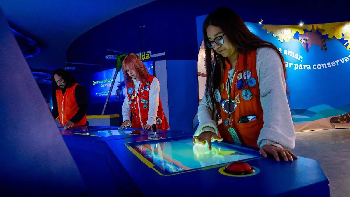 6aef7cd3-75b4-447f-959f-e66b53677c3d