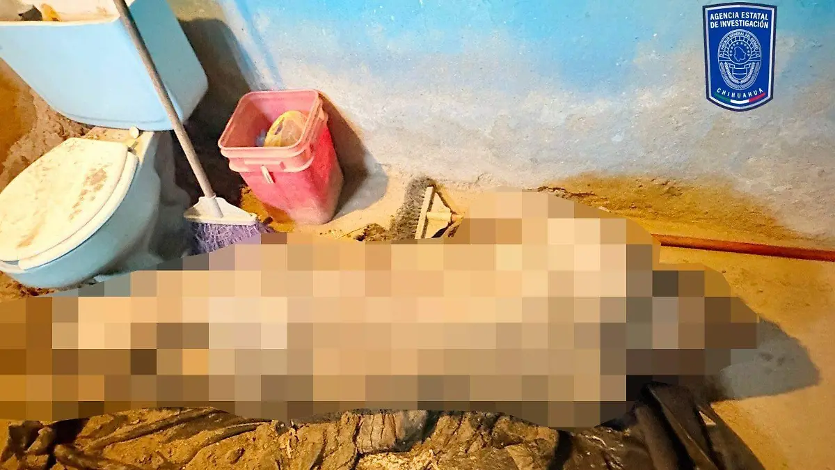 ddab1b6e-81b7-4230-bd7c-0d8e1ad05661