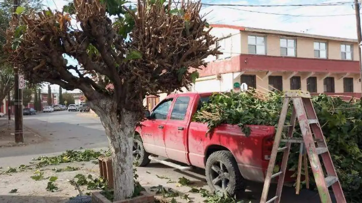 archivo El Heraldo de Juárez