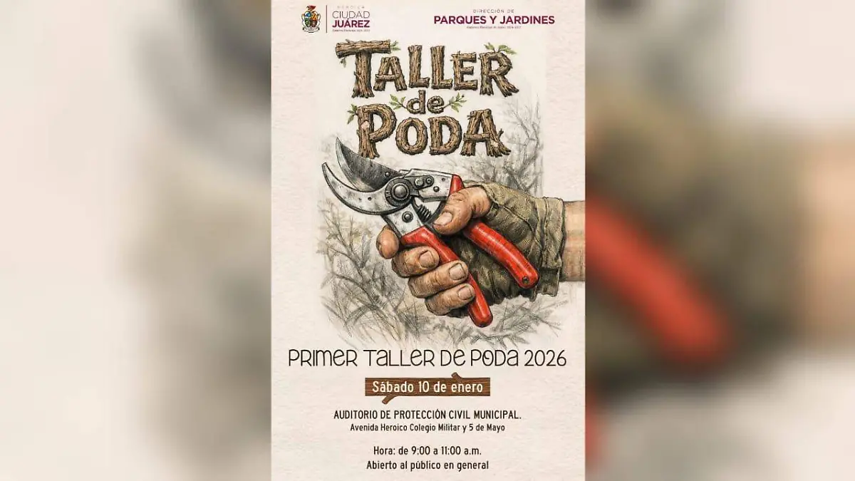 Taller de poda