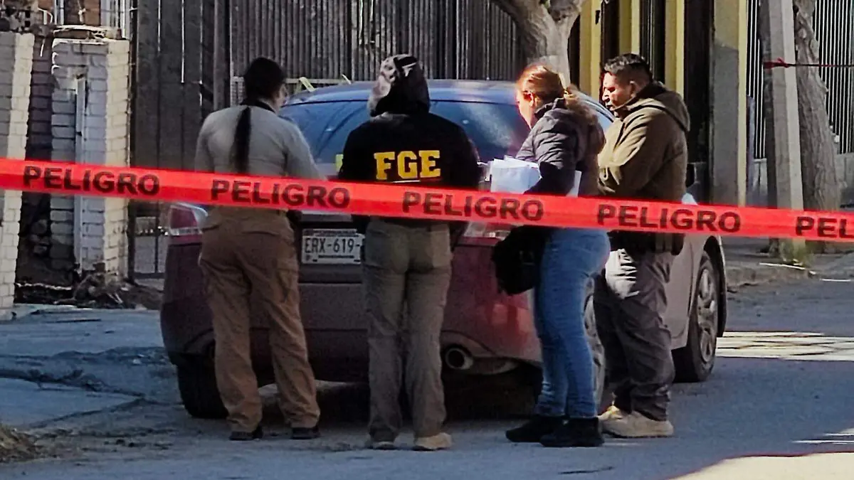 e3174555-c513-40c1-8073-b43898c6cfe5