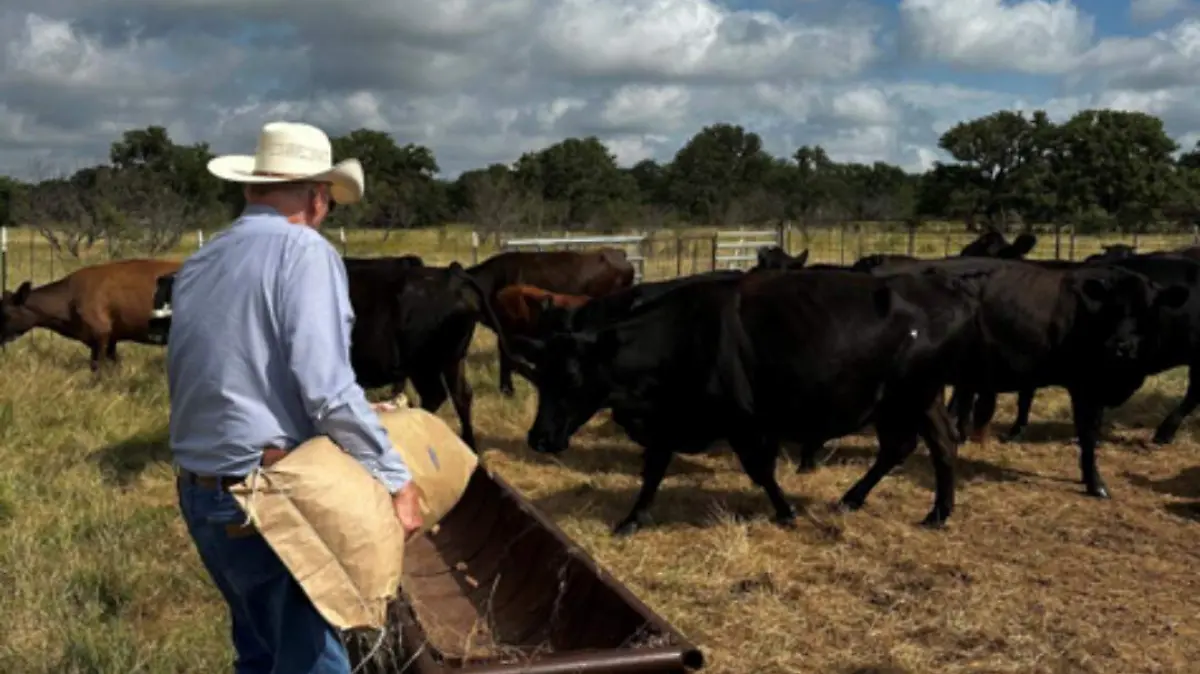 559551601_1193015576206200_564572492671129642_n