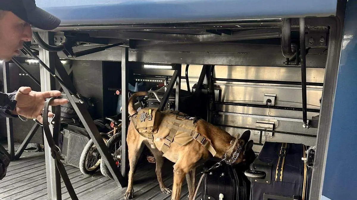 cbb92d72-2c7f-4152-8ba9-598bb8f3f00c