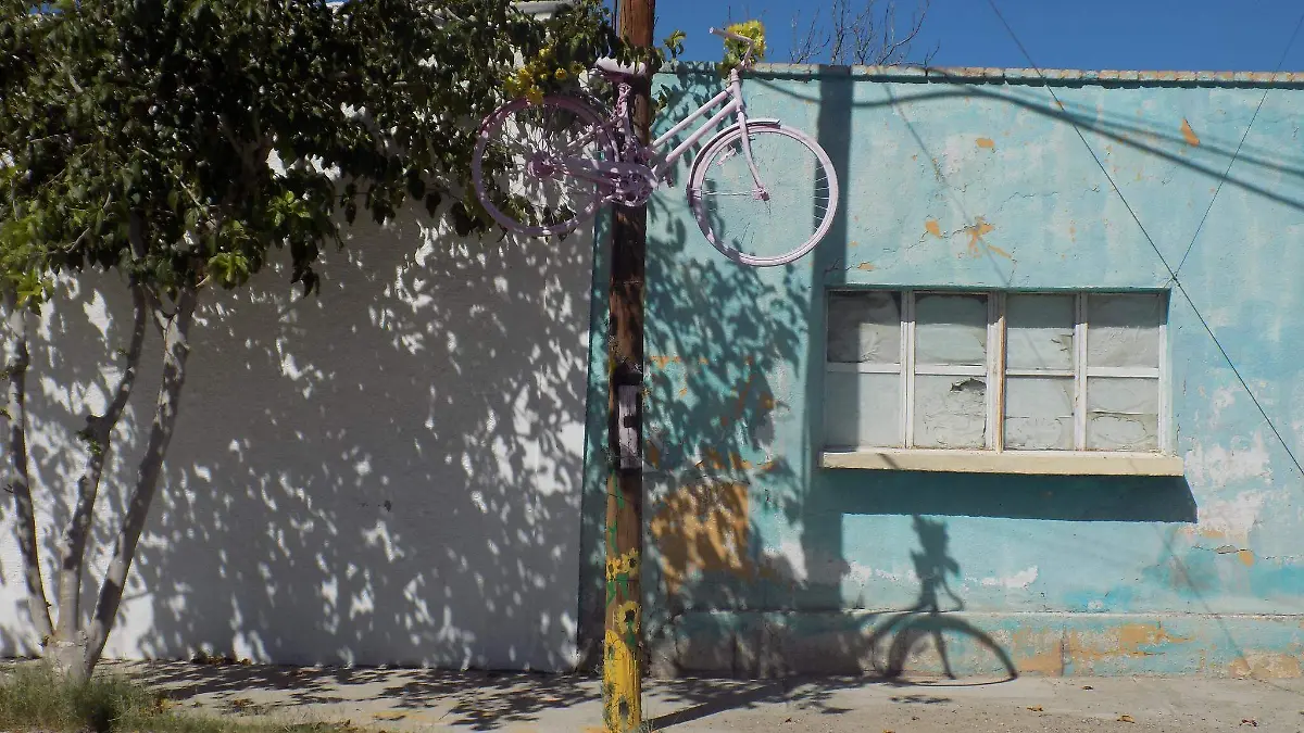 Rodada de los girasoles 2026