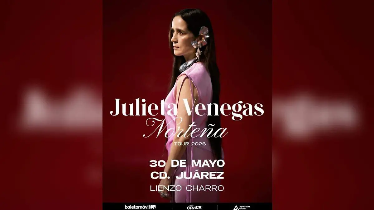 Julieta Venegas