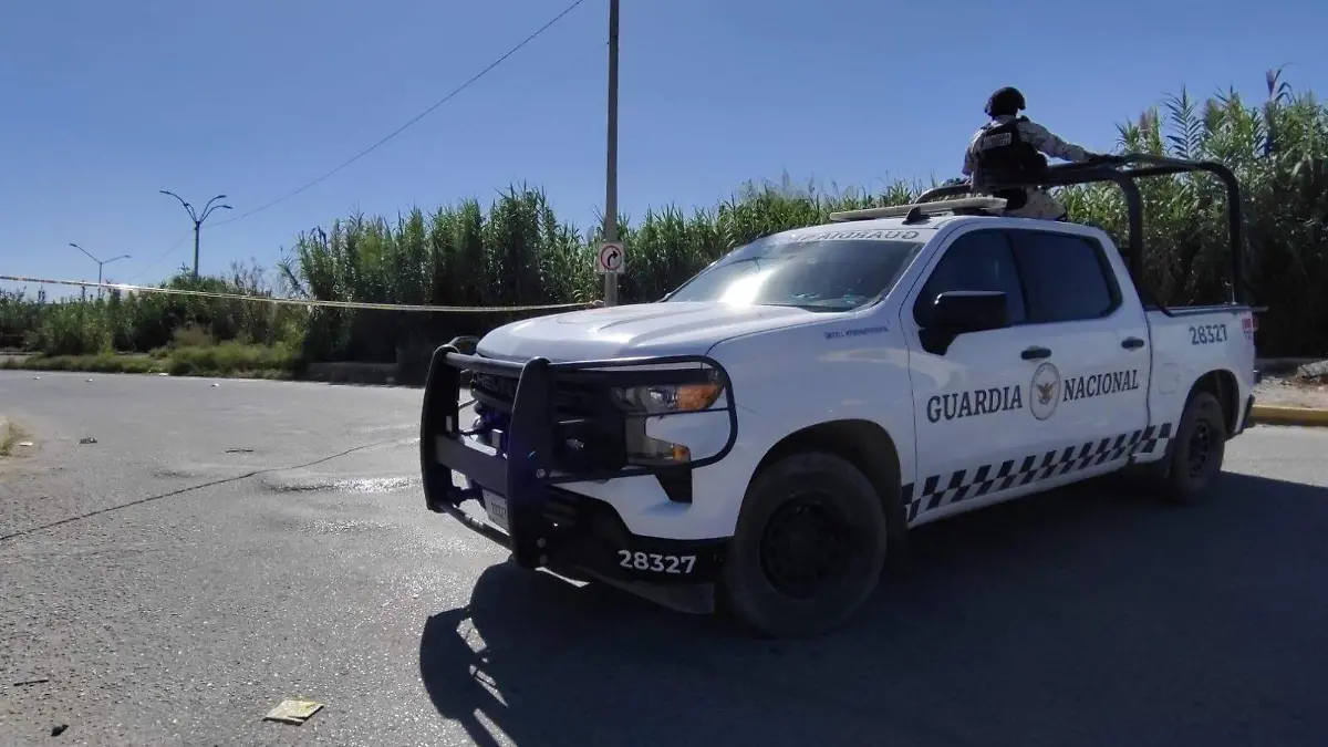 47707d67-ac4d-44b4-bbd9-12eb10f06043