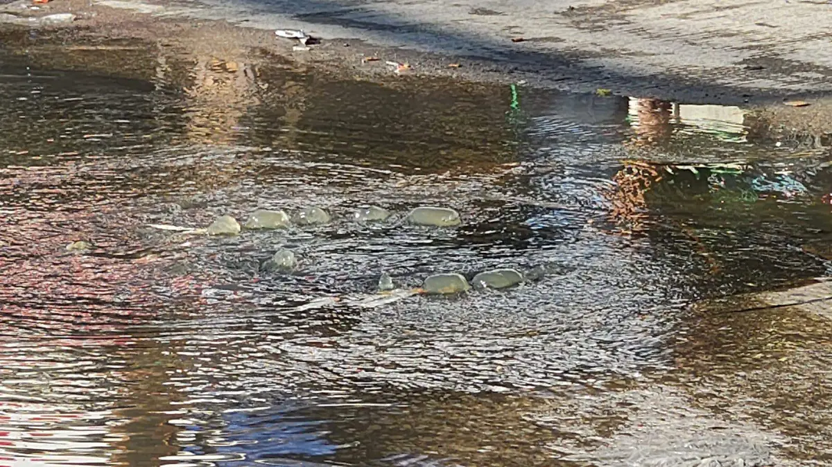 45dbb28d-4a7d-46ab-a601-ebe175b67572