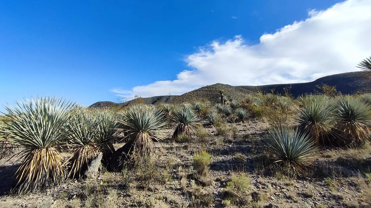 490452415_1247995927160954_6985210971612103422_n